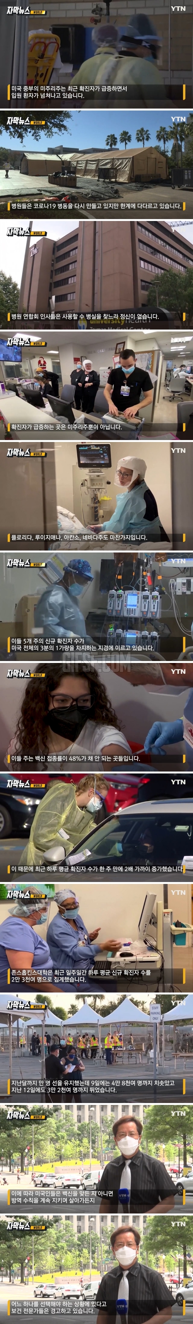  미국 코로나 근황