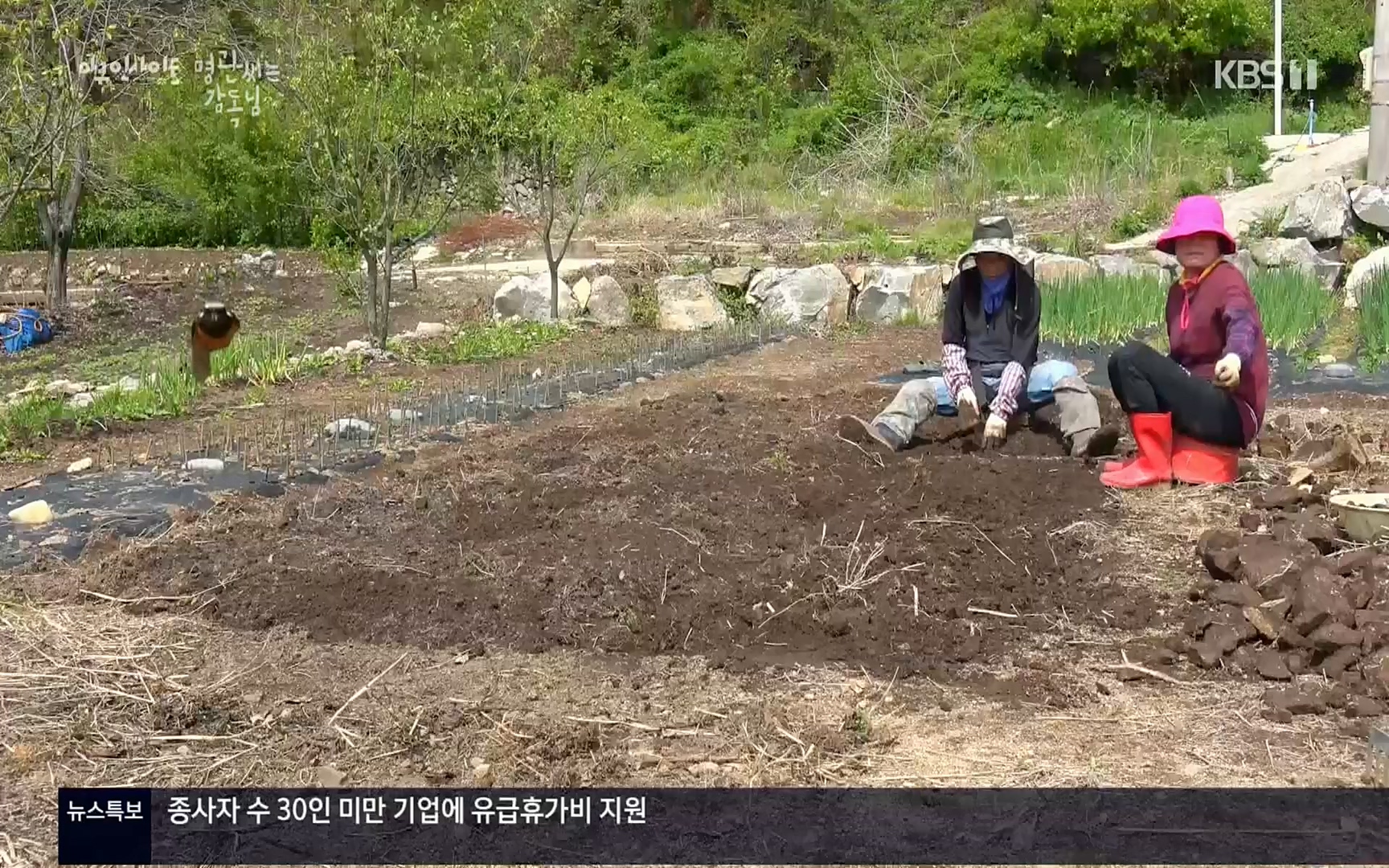 다큐 인사이트.E122.220825p.H264-F1RST.mp4_20220826_152305.901.jpg