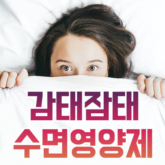  감태잠태 수면영양제 꿀잠 예약
