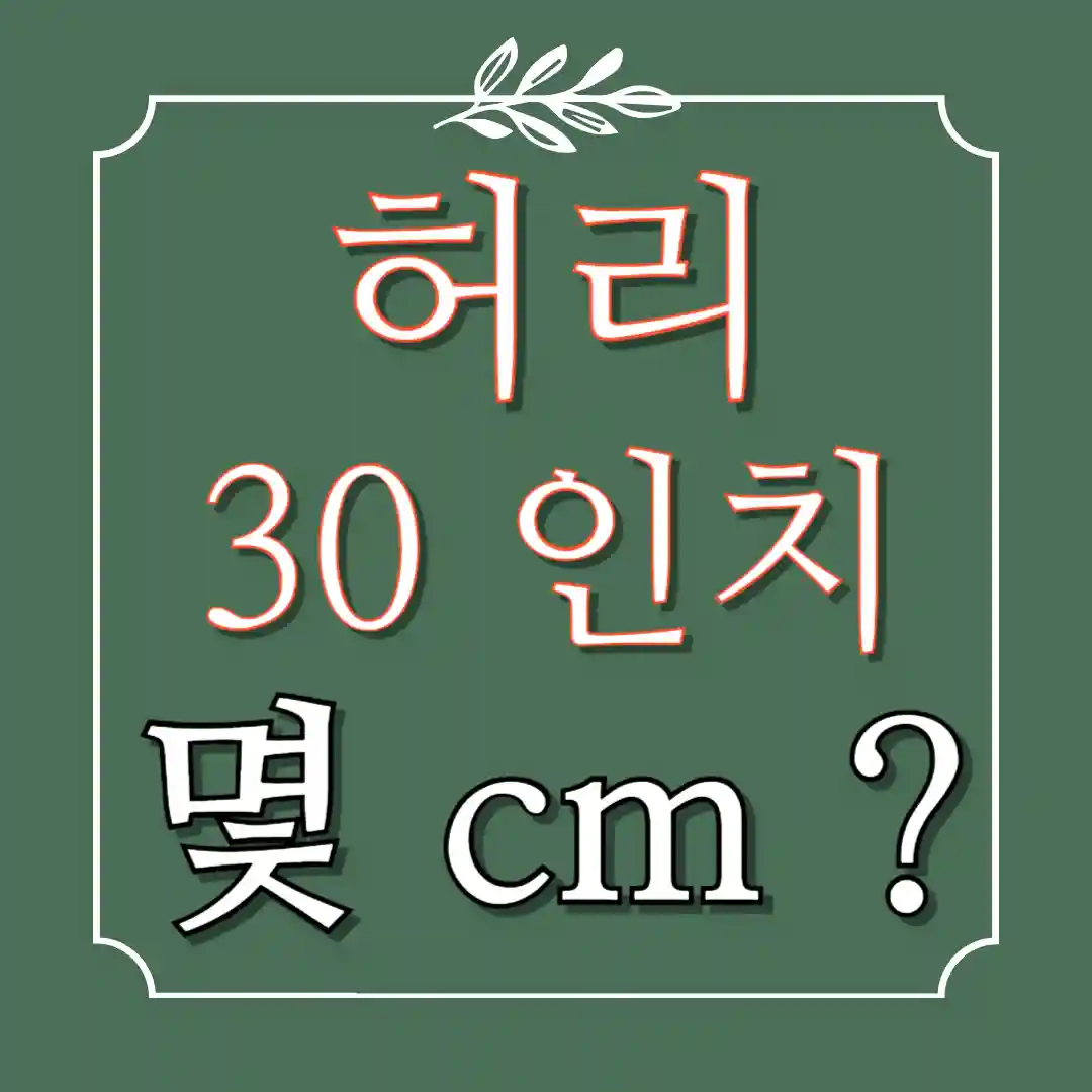 허리 30인치 몇cm