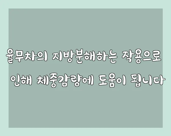 율무차의 지방분해하는 작용으로 인해 체중감량에 도움이 됩니다