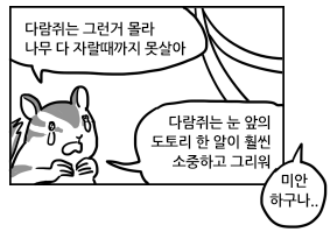 다람쥐는 그런가 몰라