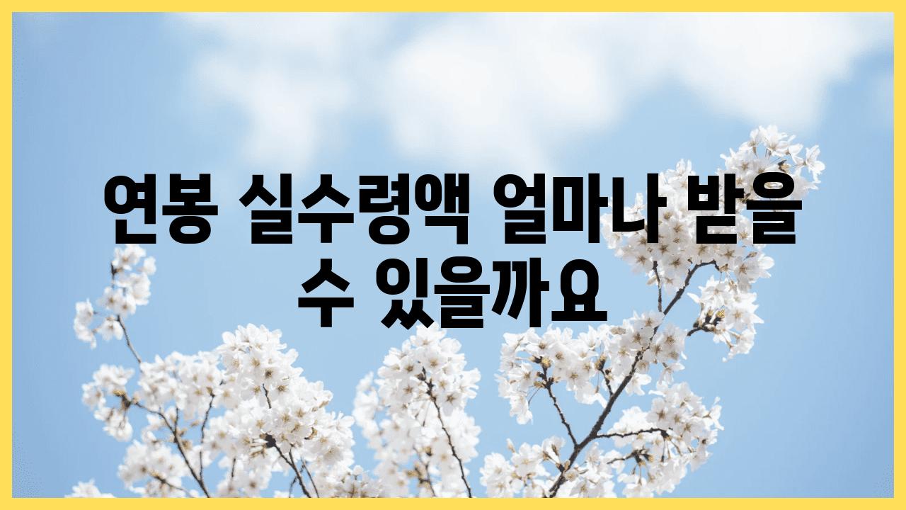 연봉 실수령액 얼마나 받을 수 있을까요