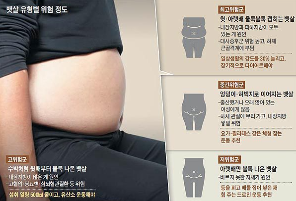  뱃살 유형별 위험 정도ㄷㄷㄷㄷㄷㄷ