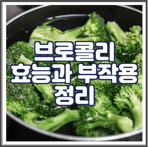  브로콜리 효능과 부작용 정리