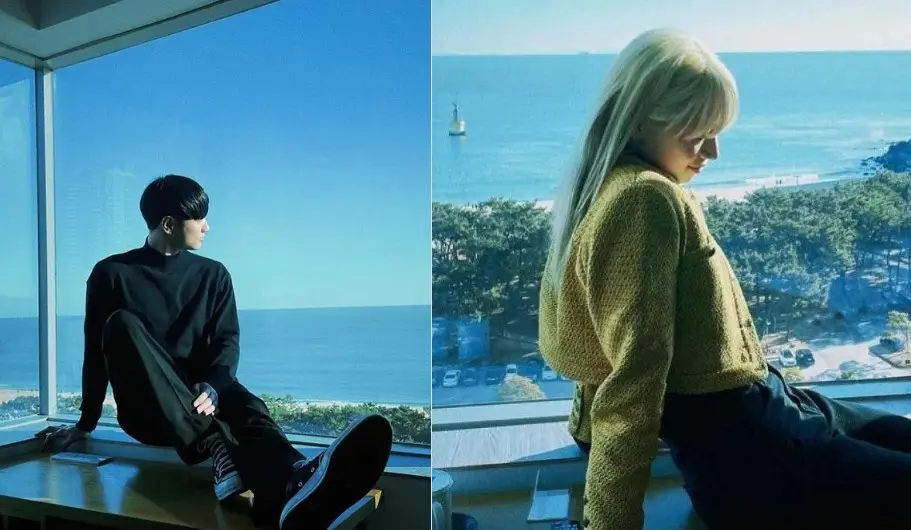 하울 이미지