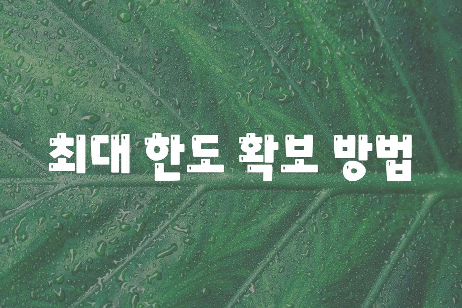 최대 한도 확보 방법