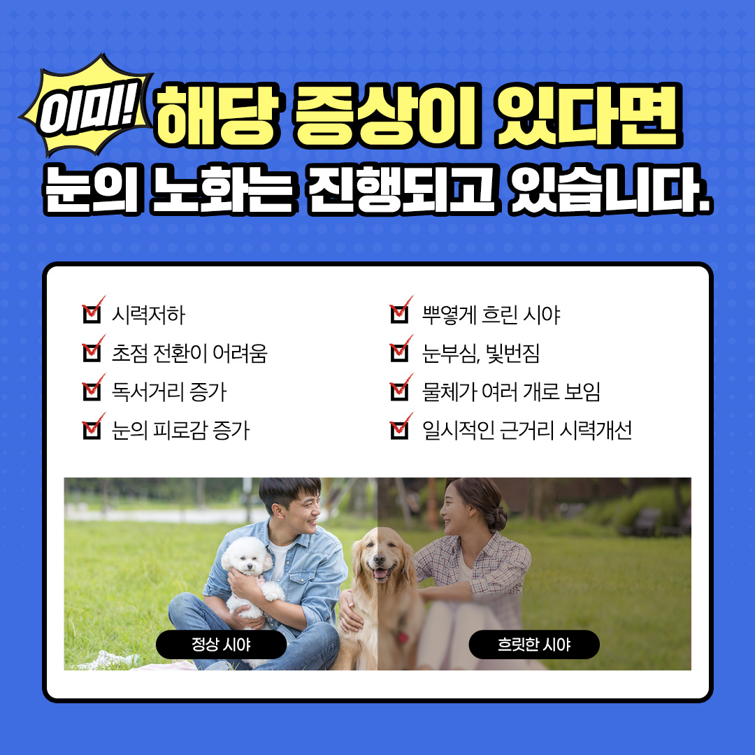 [애견학당 건강 지식 정보] 개의 백내장, 증상 및 눈에 좋은 음식 6가지(백내장의 원인과 유전, 개의 실명, 백내장 치료법)