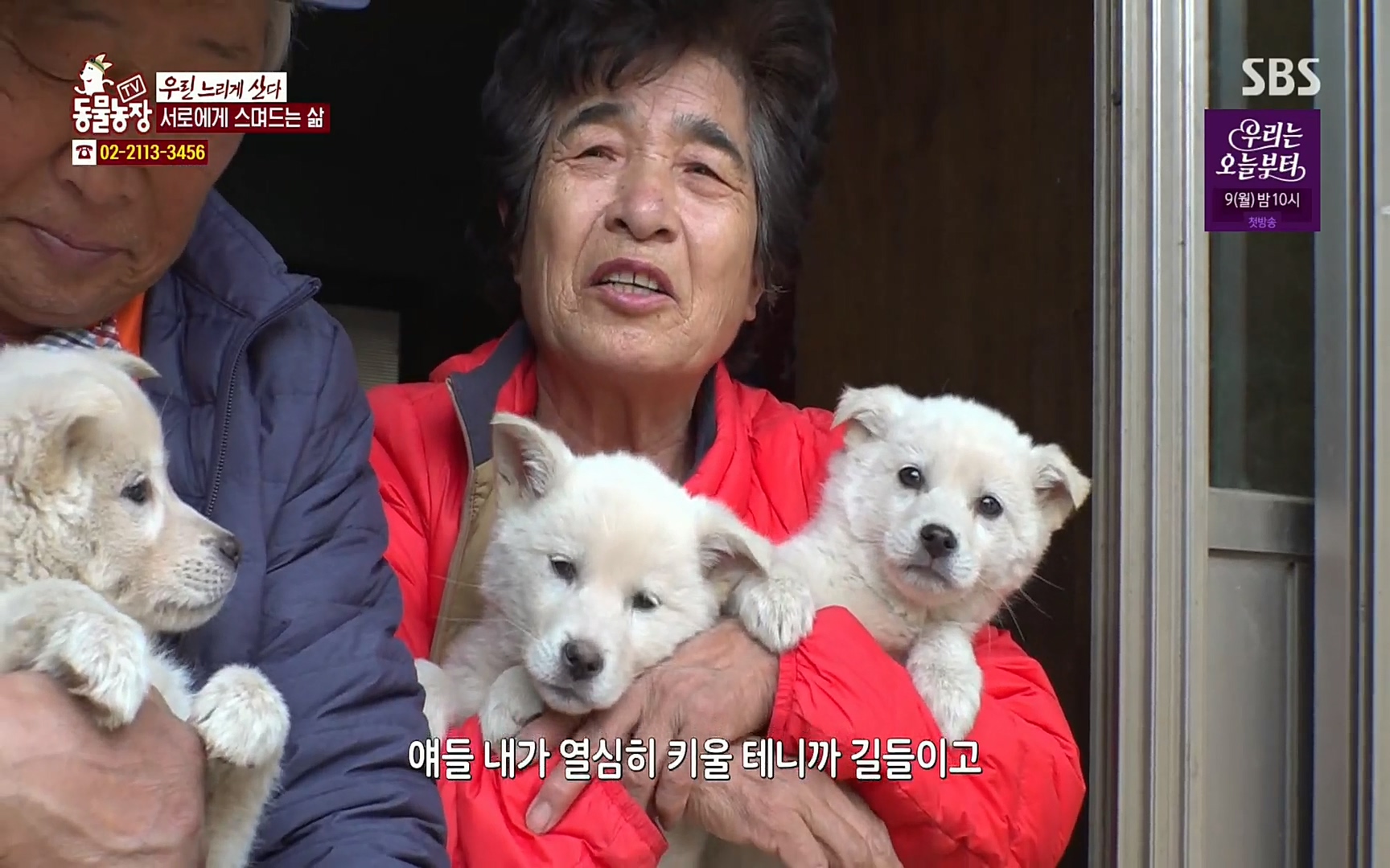 TV 동물농장.E1067.220501p.H264-F1RST.mp4_20220501_184807.284.jpg