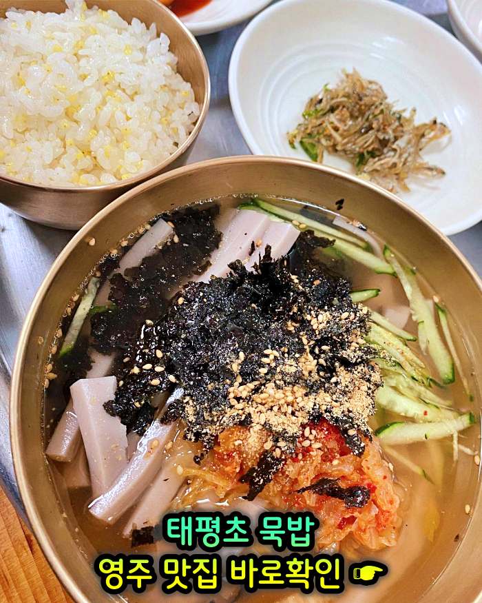 6시 내고향 경북 영주 메밀묵 돼지고기 얼큰 양념 찌개 태평초 맛집