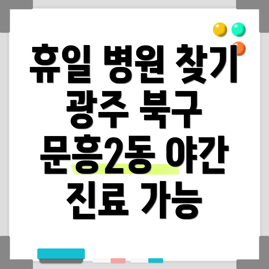 광주 북구 문흥2동 휴일 병원