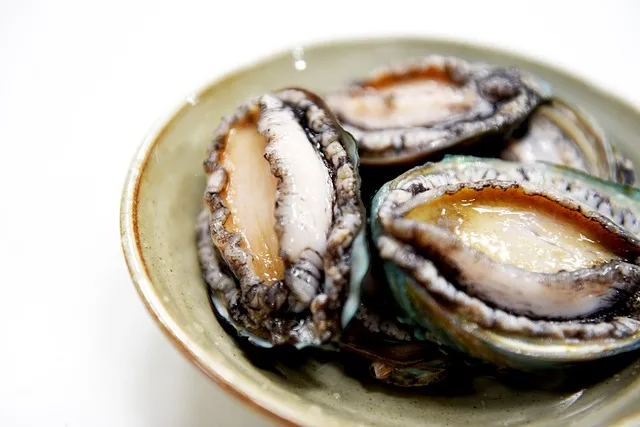 완도 청산도 배시간표 요금 배편 예약_4