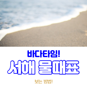  서해 물때표 보는 방법(feat. 바다타임)