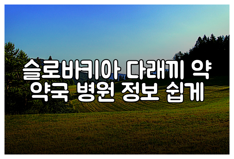 슬로바키아 다래끼 약 약국 병원 정보 쉽게