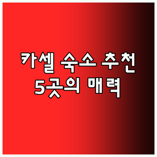카셀 여행 계획 중이신가요? 놓칠 수