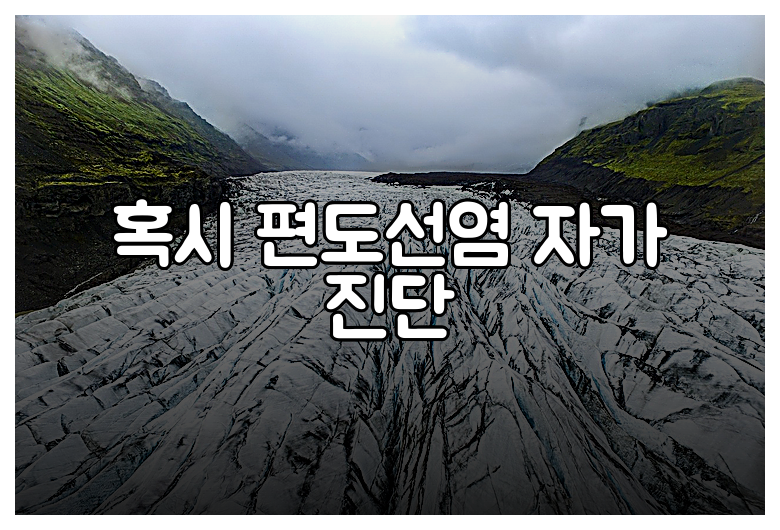 혹시 편도선염 자가 진단