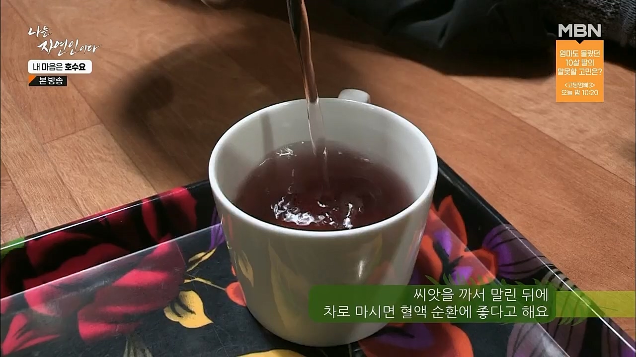 나는 자연인이다.E540.230209p.H264-F1RST.mp4_20230209_203722.477.jpg