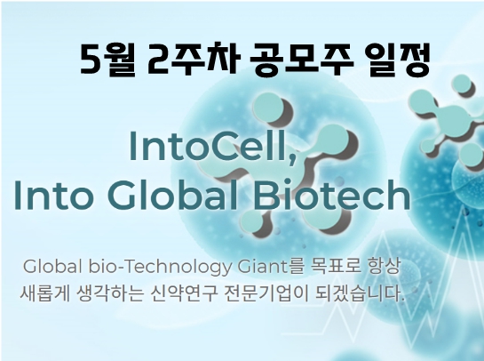 인투셀