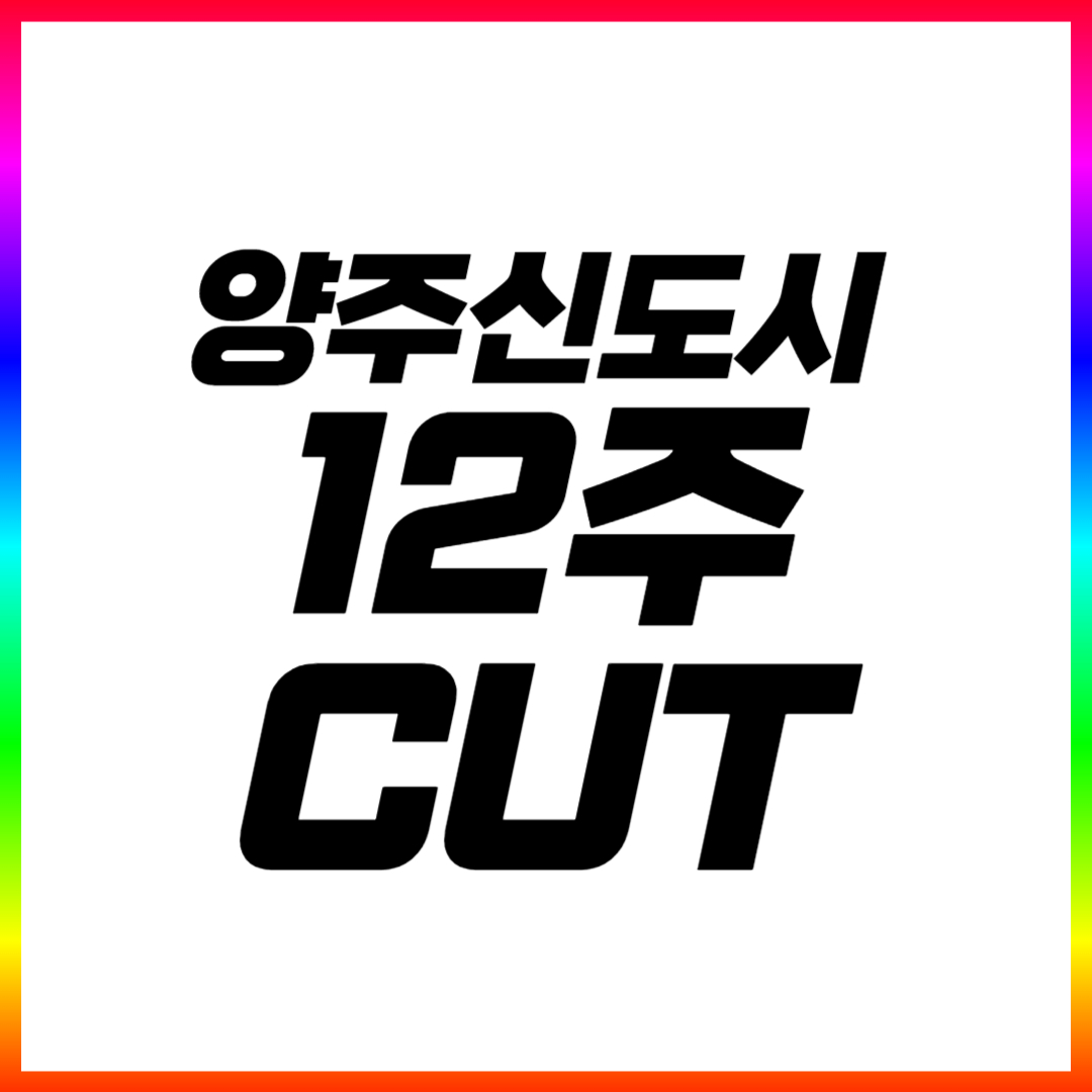  양주신도시 초등 수학과외 양주 고등 중학생 영어과외 국어 과학 전과목 일대일 선생님 내신관리