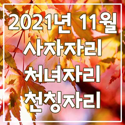  (사자자리, 처녀자리, 천칭자리) 2021년 11월 은하별의 별자리 운세