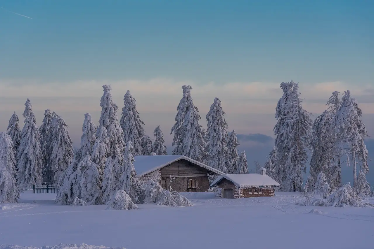 한랭질환 - 눈이 쌓인 들판 주변에 눈쌓인 나무들이 빼곡한 한가운데 눈덮희 단층집