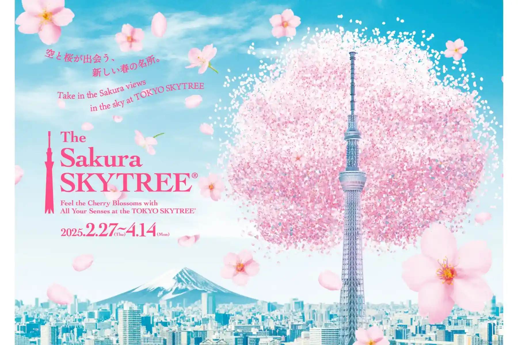 The Sakura SKYTREE®~ TOKYO SKYTREE®에서 벚꽃을 온몸으로 느끼다~(오시아게)