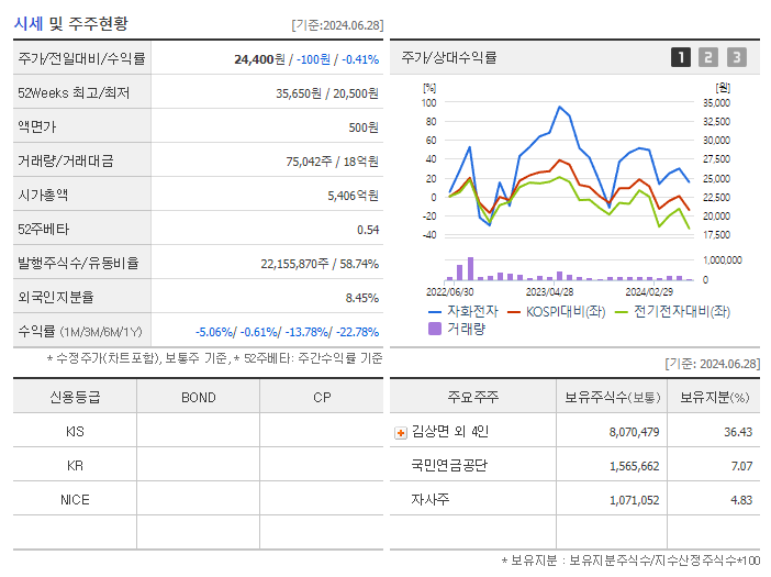 자화전자_기업개요