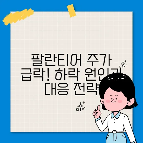 팔란티어 주가 급락! 하락 원인과 대응 전략