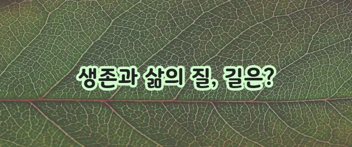 폐암 4기 항암치료 과정에 대한 모든 것, 정말 중요합니다!