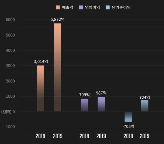  빅히트 엔터테인먼트 공모주 청약