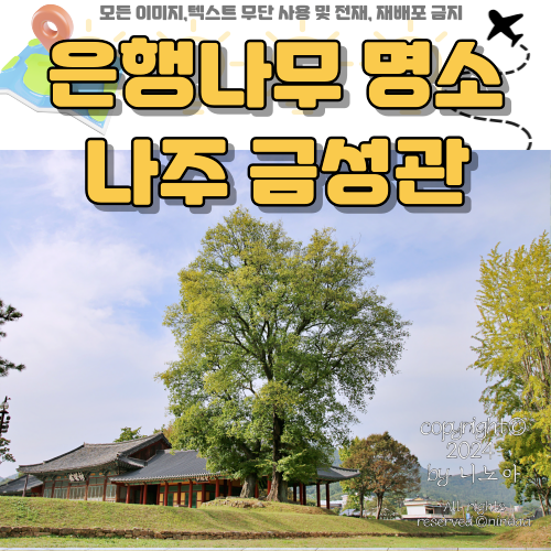 금성관광주 이미지