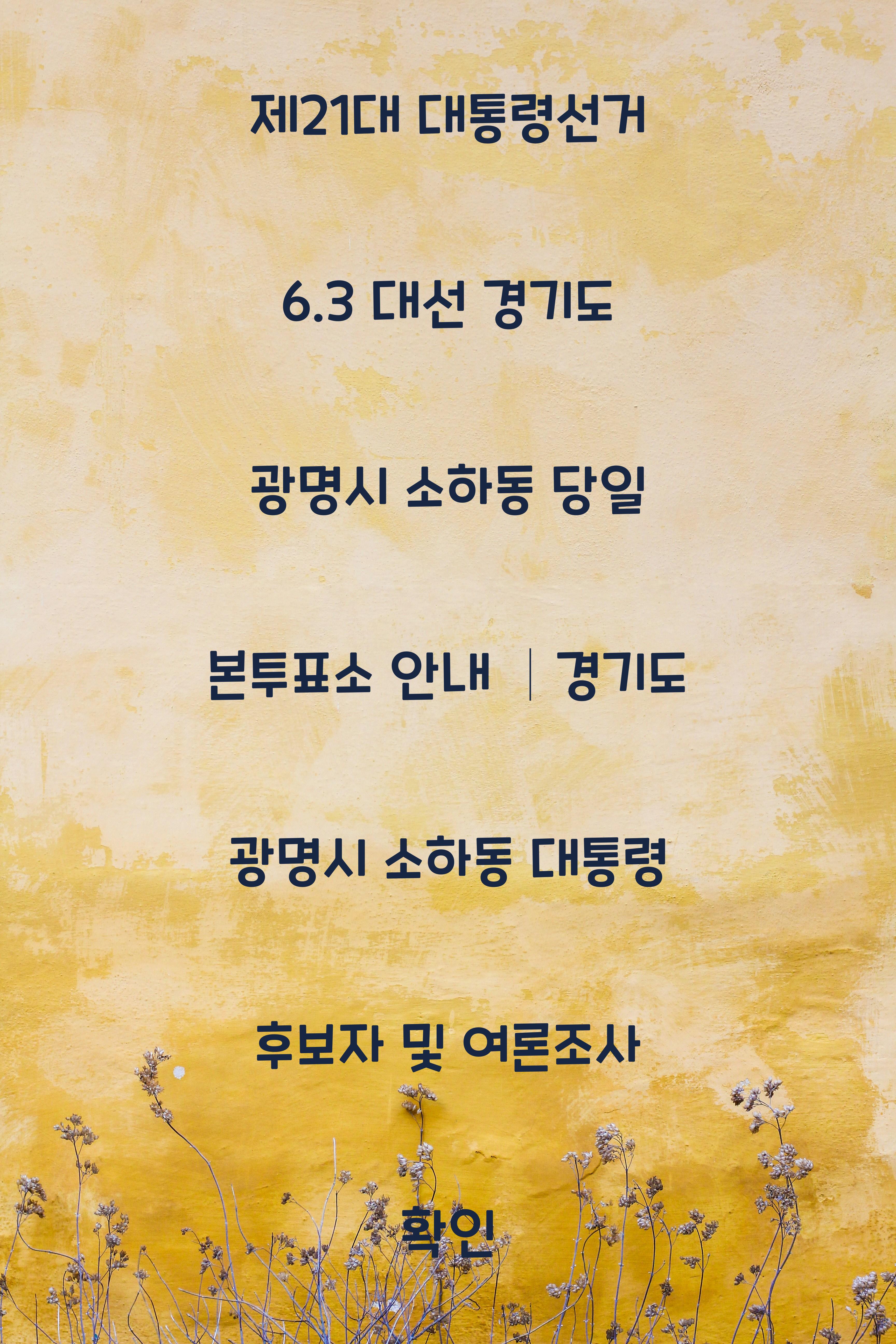 제21대 대통령선거 6.3 대선 경기도 광명시 소하동 당일 본투표소 안내 │경기도 광명시 소하동 대통령 후보자 및 여론조사 확인