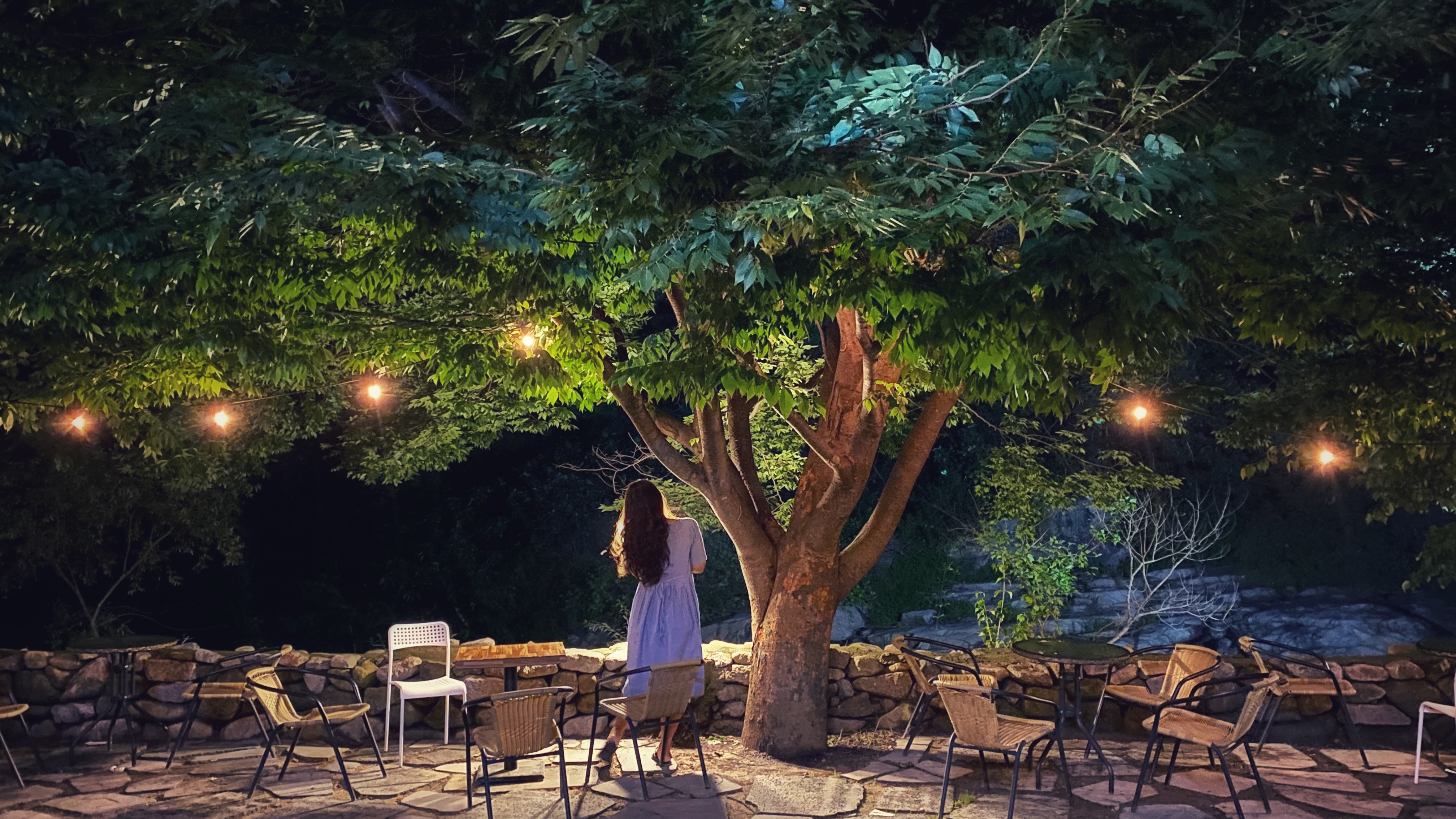 대구 근교 군위 드라이브, 카페 가볼 만한 곳 - 숲속카페 우즈