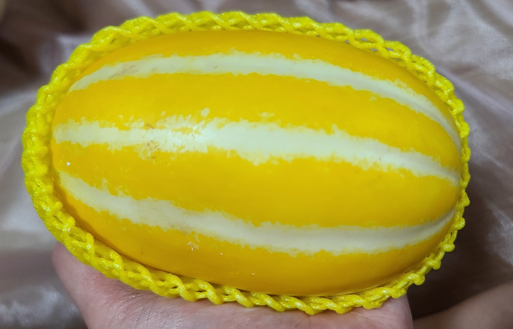  참외 효능 / 참외 부작용 / 맛있는 참외 고르는 법