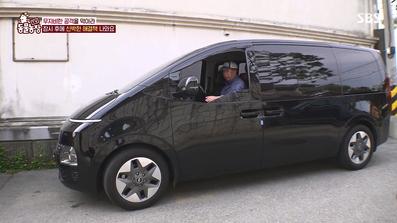 TV 동물농장.E1176.240617p-NEXT.mp4_20240616_171026.796.jpg