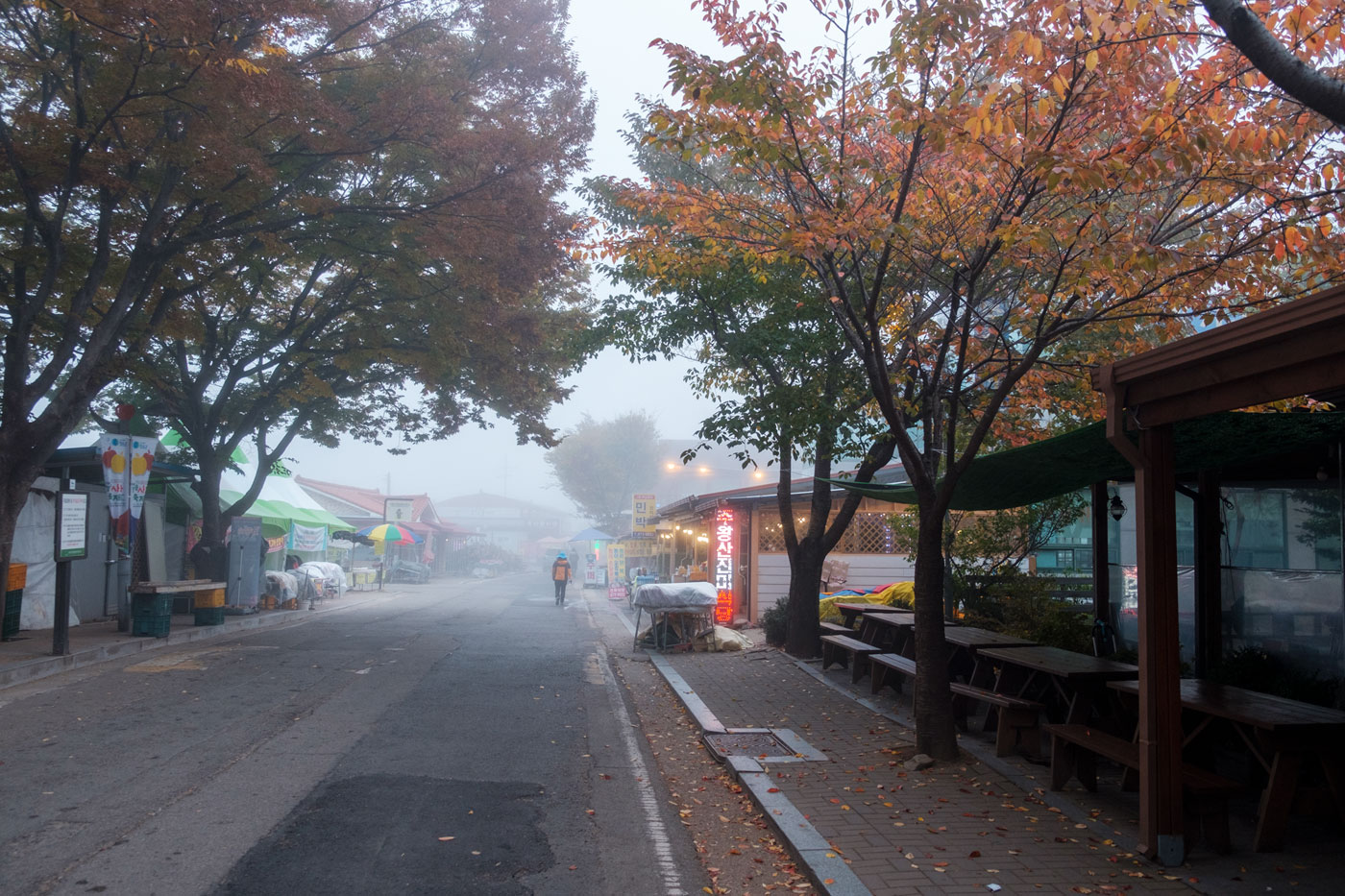  11/2 주왕산