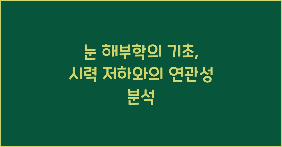 눈 해부학