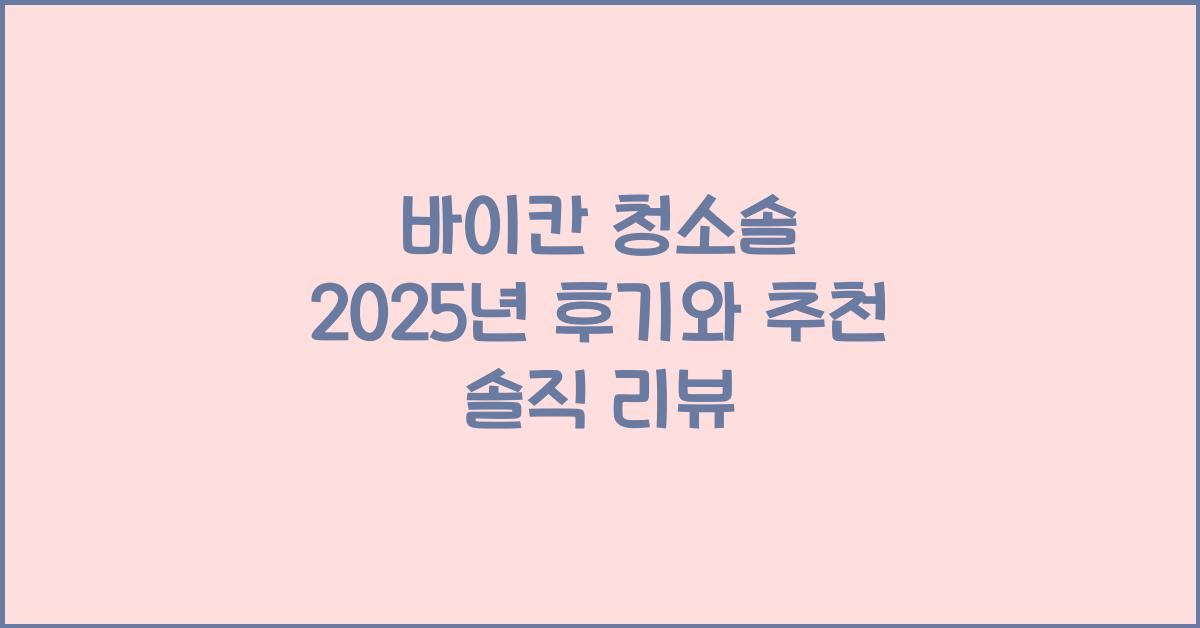 바이칸 청소솔