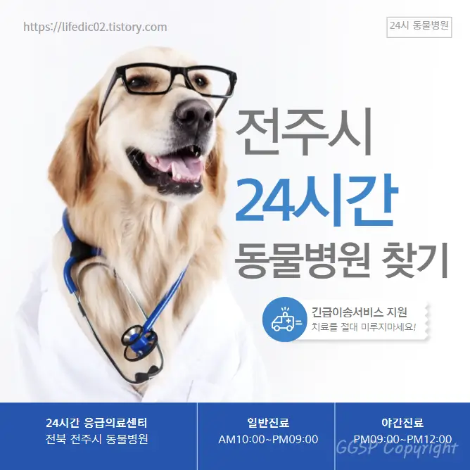  전주시 24시간 동물병원 찾기 근처 야간 일요일 강아지 병원 50곳