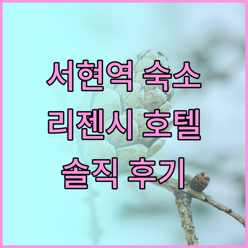 서현역 숙소 추천! 리젠시 호텔의 장