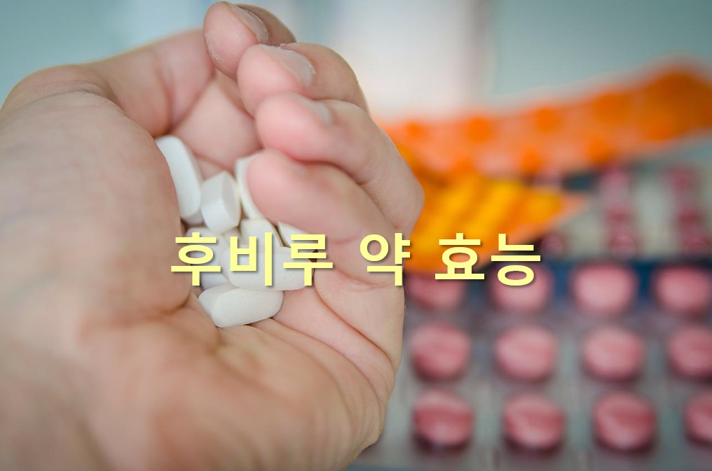  후비루 약 효능과 후비루에 좋은 음식