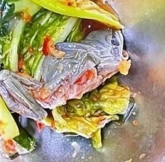  서울 강서구 내발산동 사립고, 명덕여자고등학교, 급식 반찬 열무 김치 개구리 사체 논란, 납품 업체 계약 해지