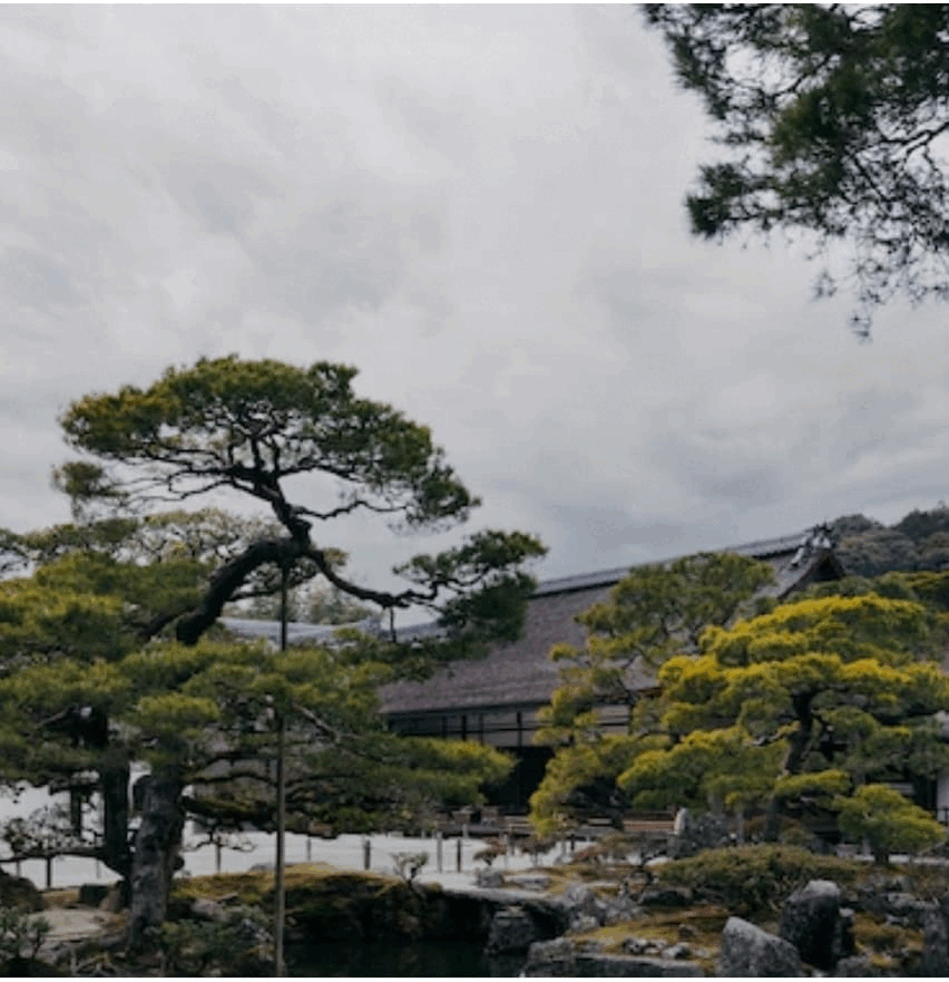 화담숲 예매·예약·주차 완벽 가이드