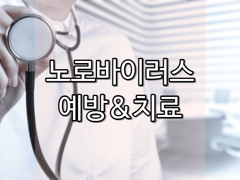 노로바이러스 치료 원인 추적과 예방
