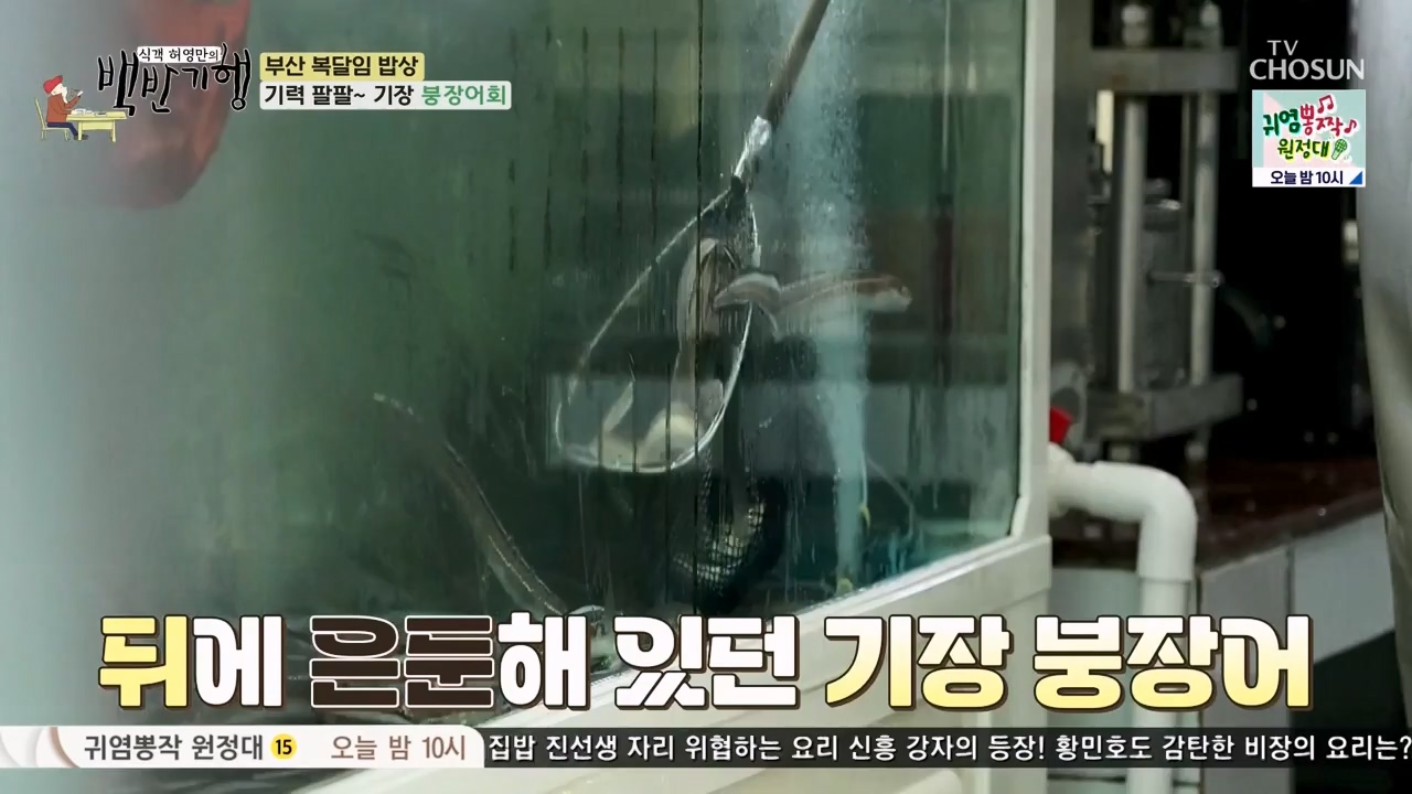 식객 허영만의 백반기행.E209.230729p-NEXT.mp4_20230729_172608.585.jpg