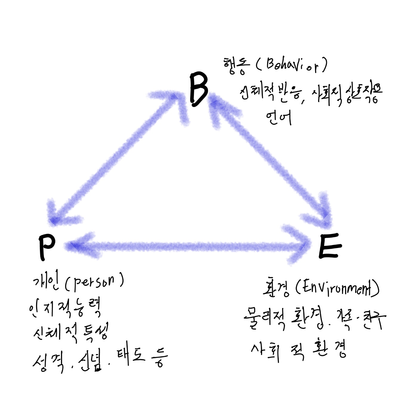 반두라의 사회학습이론
