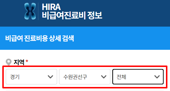 HIRA 비급여 진료비 정보 홈페이지3