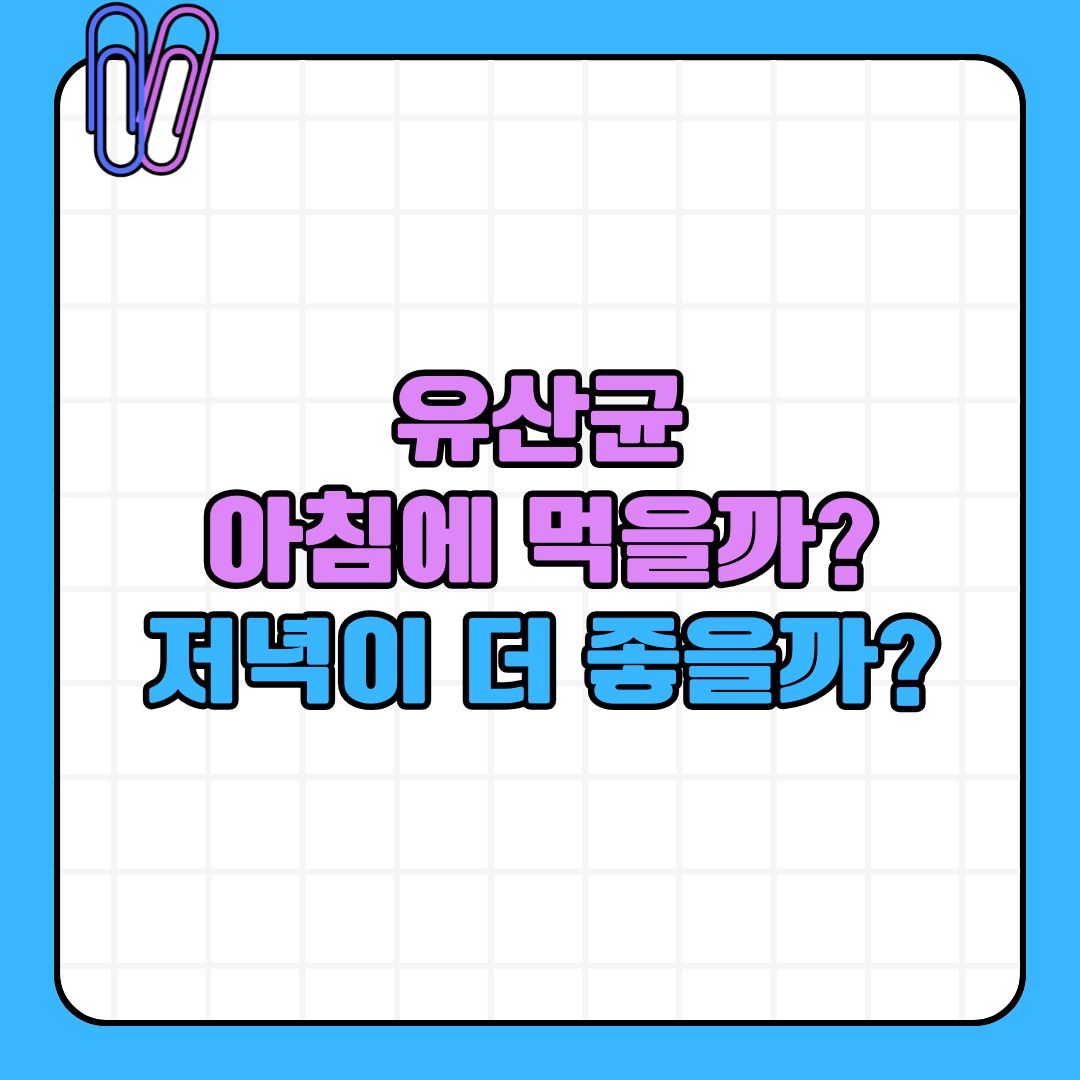 아침과 저녁 중 유산균 복용시간을 비교하는 설명