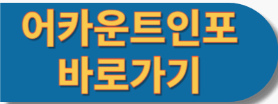 어카운트인포 사용하기