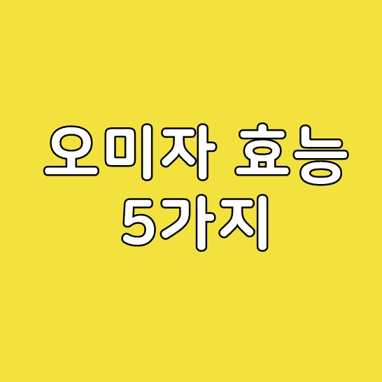  오미자 효능 5가지